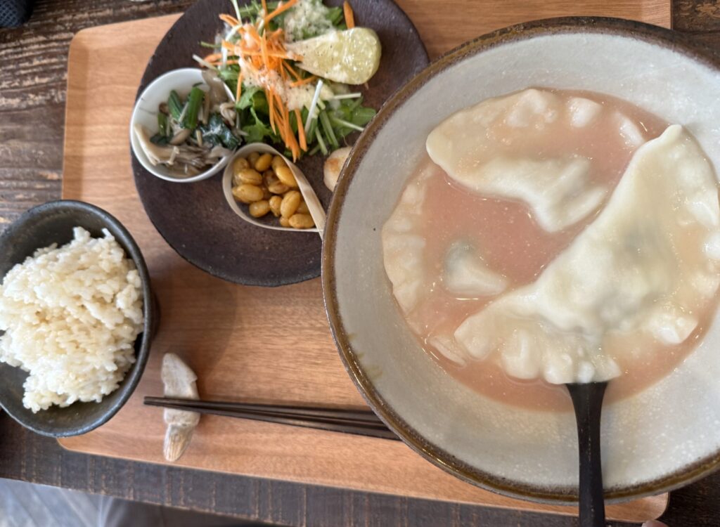 アルプスごはんの水餃子